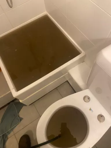 Débouchage de canalisations de toilette d'un appartement à Gonesse, Gonesse, Maison Orion